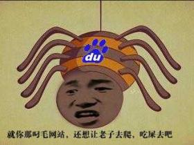 刘连康：教你如何正确认识百度蜘蛛（BaiduSpider）IP段