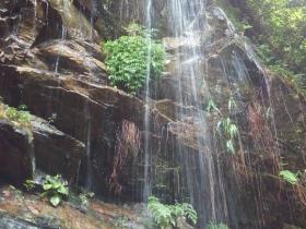 【自律哥觉察报告】第1171篇:把成长变成兴趣