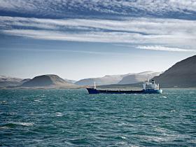 【自律哥觉察报告】第1193篇:喜悦中秋,团圆佳节