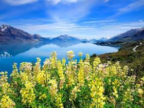 【自律哥觉察报告】第1195篇:无能的水手责怪风向