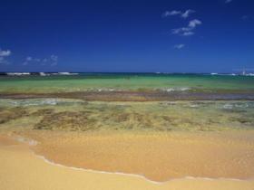 【自律哥觉察报告】第1202篇:什么都不期待