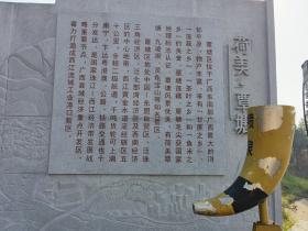 【自律哥觉察报告】第1069篇:为什么你的企业赚不到钱?