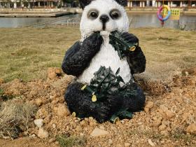 【自律哥觉察报告】第1023篇:训练有素的想象会产生奇迹