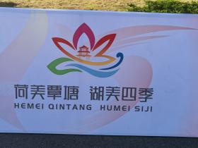 【自律哥觉察报告】第1076篇:面对抉择,富人总是当机立断