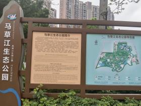 【自律哥觉察报告】第1026篇:易经奇门遁甲线下课第十天