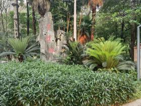 【自律哥觉察报告】第1054篇:把左口袋的钱放到右口袋