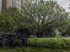 【自律哥觉察报告】第1062篇:穷其一生为客户创造价值