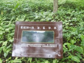 【自律哥觉察报告】第1064篇:只赚自己喜欢赚的钱