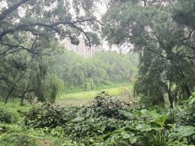 【自律哥觉察报告】第1065篇:写下愿景才能实现