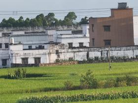 【自律哥觉察报告】第1095篇:创业才是最明智的选择