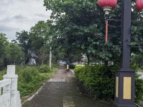 【自律哥觉察报告】第1096篇:像富人一样思考