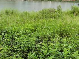 【自律哥觉察报告】第1105篇:人人皆平等,不问贫富贵贱