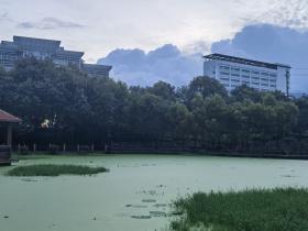 【自律哥觉察报告】第1133篇:没有这几个特质,你走不远