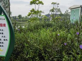 【自律哥觉察报告】第1144篇:坚持你所相信的