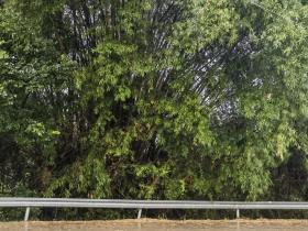 【自律哥觉察报告】第1149篇:人的命有限而欲望无限