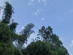 【自律哥觉察报告】第1150篇:你是在利用时间还是滥用时间?