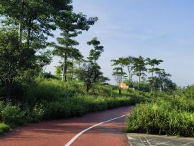 【自律哥觉察报告】第1155篇:大运十年一轮回