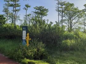 【自律哥觉察报告】第1159篇:大脑中的画面关系着你的未来