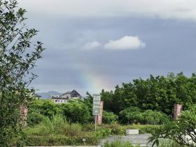 【自律哥觉察报告】第1162篇:回家过中元节