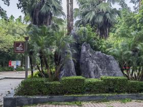 【自律哥觉察报告】第1168篇:多做慈善,福报会越大