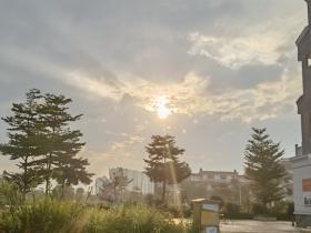 【自律哥觉察报告】第1219篇:每天学习,不断进步