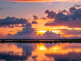 【自律哥觉察报告】第1240篇:我不要了