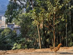 【自律哥觉察报告】第1250篇:婚礼结束,开始收拾残局