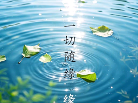 【自律哥觉察报告】第1303篇:不理睬,不陷入,不参与