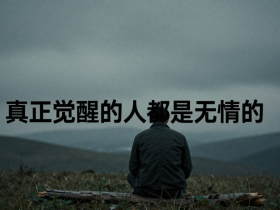 【自律哥觉察报告】第1642篇:真正觉醒的人都是无情的