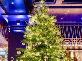 全球最贵圣诞树，挂满了珠宝，价值1190万英镑！