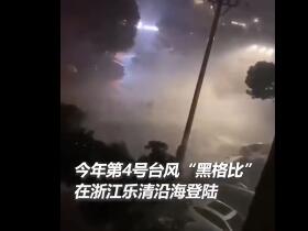 台州老人台风天关窗时坠亡 台风来的太猛烈，大家注意安全！