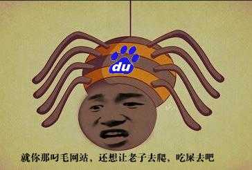 刘连康：教你如何正确认识百度蜘蛛（BaiduSpider）IP段